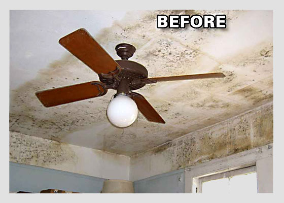 An image is worth 1000 words