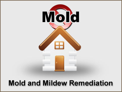 Mold and Mildew Remediation