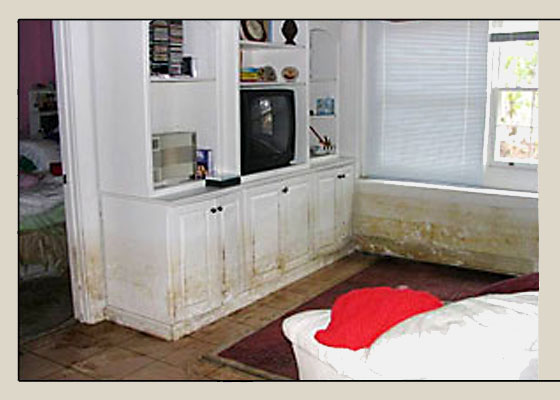 Before Photo - Water Damage