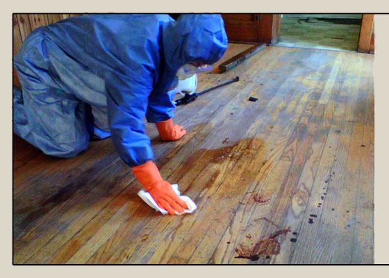 Before Photo - Biohazard Cleanup