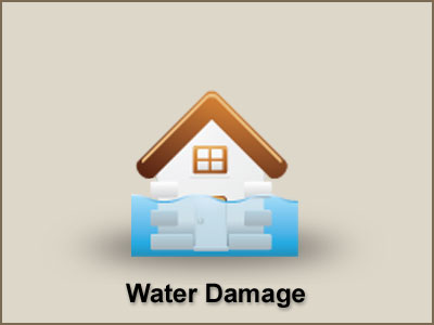 Water Extraction / Structural Drying